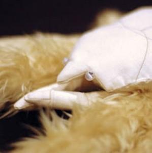 Le chele del granchio yeti ospitano un gran numero di microrganismi.