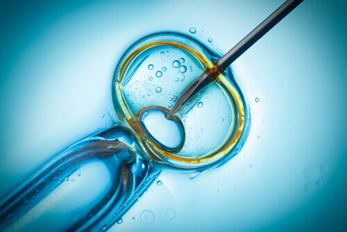 Embrioni di laboratorio per salvare specie protette