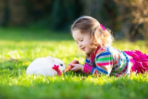Pet therapy con i conigli: la terapia più tenera che c'è