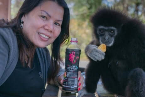 Fare selfie con i gibboni conduce questa specie al pericolo di estinzione.