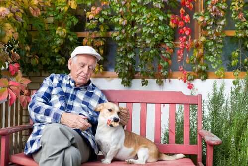 Anziano con cane sulla panchina.