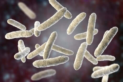 Virus della polmonite negli animali.