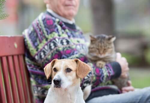 La relazione tra anziani e cani e gatti. Anziano con un gatto in braccio e cane vicino.