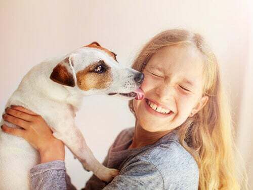 Cane che lecca il viso di una bambina.
