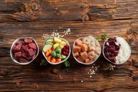 Diverse ciotole con alimenti vari: calcolo delle calorie per gli animali domestici.