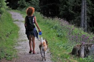 Cinque consigli per andare in campeggio con un cane
