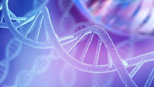 Struttura del DNA.