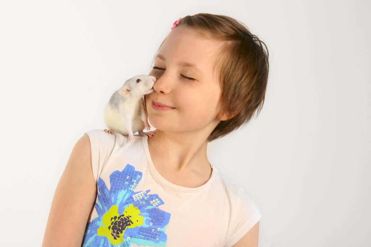 Bambina che gioca con un topo.