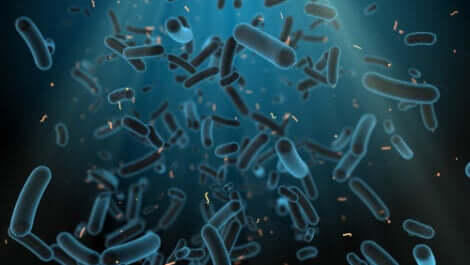 La setticemia è un'infezione generalizzata, provocata dall'arrivo di batteri nel sangue.