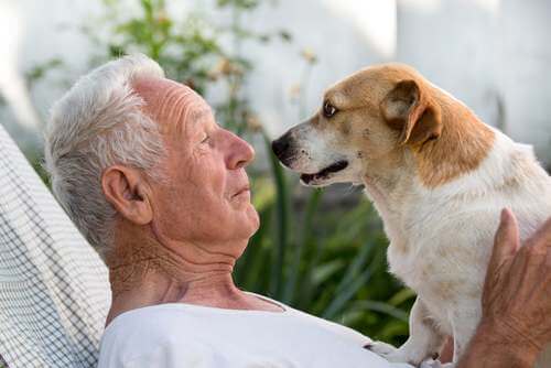 Cane insieme al padrone anziano.
