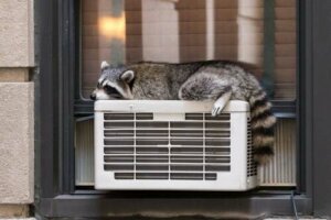 La termoregolazione negli animali, un processo affascinante