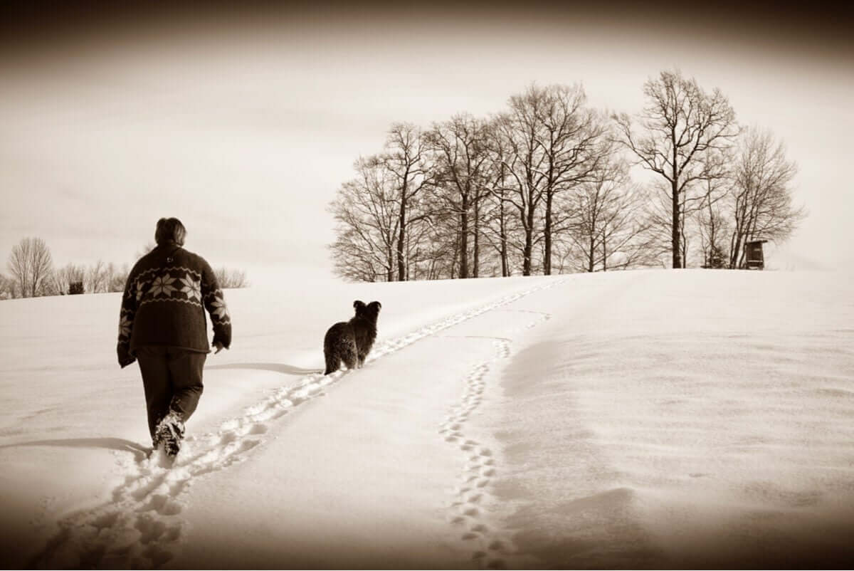 Passeggiata con il cane sulla neve.
