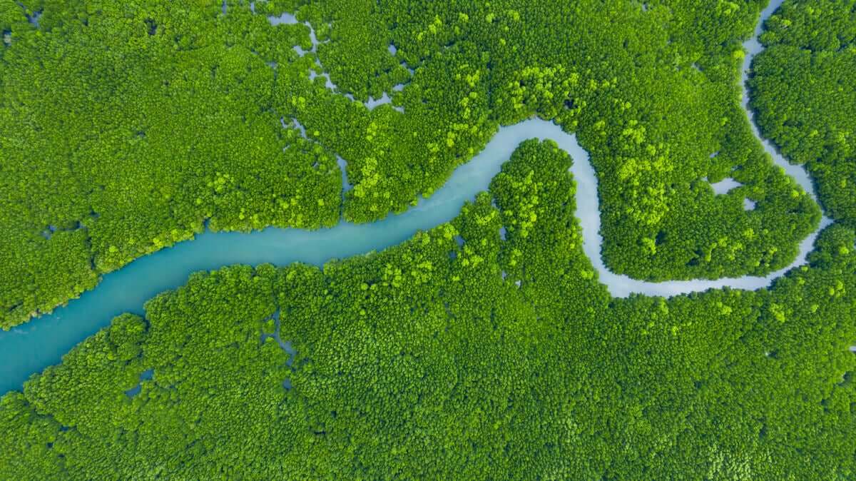 Rio delle Amazzoni.