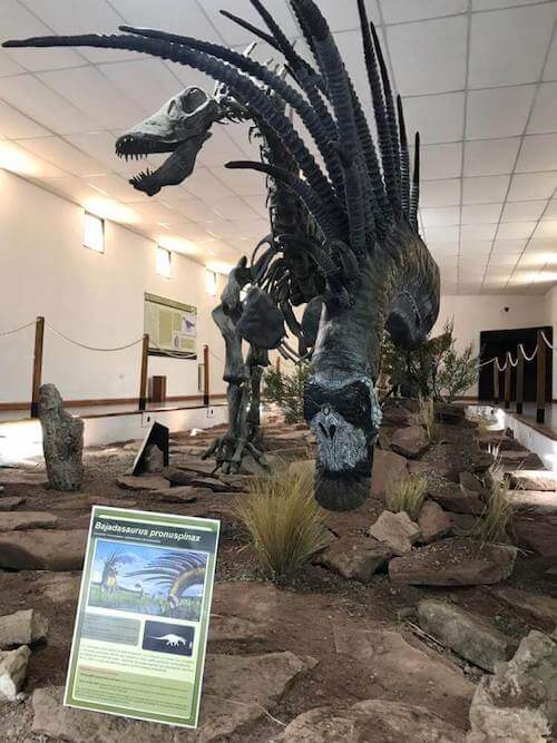 Scheletro di un dinosauro con le spine giganti esposto in un museo.