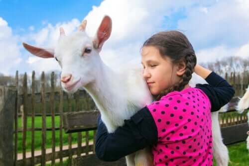 Bambina che abbraccia una capra.
