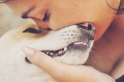Ragazza che bacia il proprio cane.
