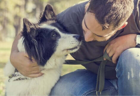 Malattie dell'apparato riproduttivo del cane: padrone che parla al proprio animale.