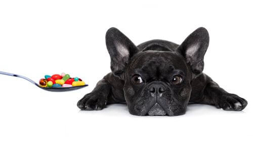 Quali vitamine sono essenziali per i cani?