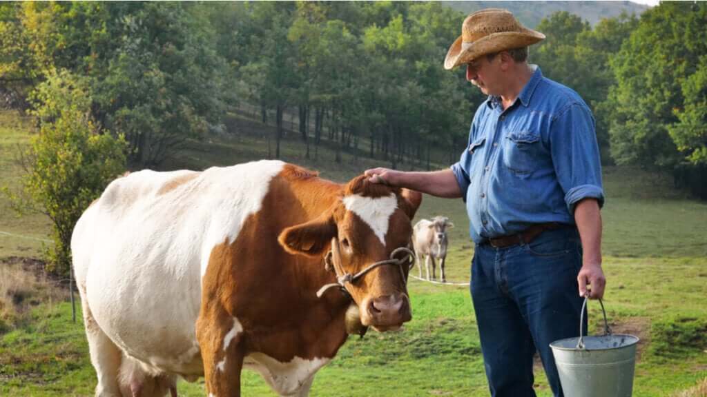 Micotossine e produzione animale: quello che c'è da sapere