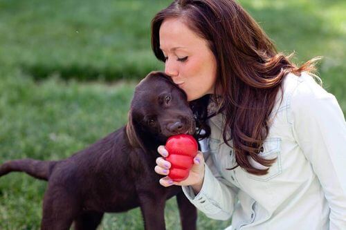 Kong gioco per cani.