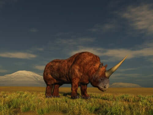 L'unicorno viveva in Russia.