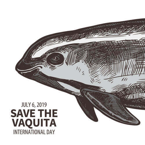 Manifesto per salvare la focena dall'estinzione.