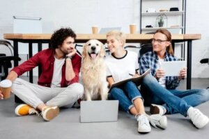 Animali domestici in ufficio: quali sono i benefici?