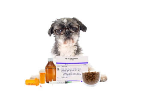 Farmaci pericolosi per i cani.