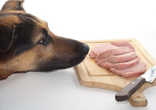 Carni magre nella dieta BARF per il cane.
