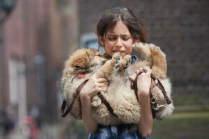 Come affrontare la perdita del proprio animale domestico