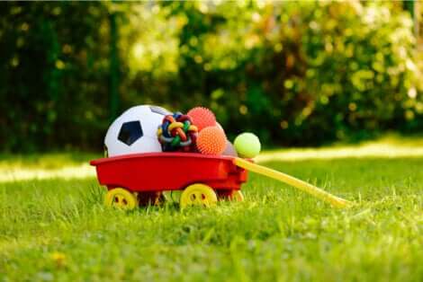 Giocattoli per la stimolazione mentale nei cani.