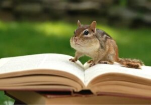 Libri di zoologia: eccone 9 che dovreste leggere