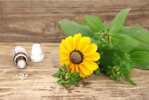 Trattamento omeopatico per gli animali.