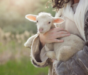 Diarrea neonatale nei piccoli ruminanti