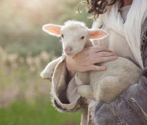 Diarrea neonatale nei piccoli ruminanti