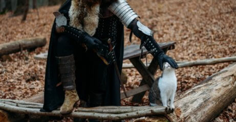 Cavaliere che accarezza un gatto.