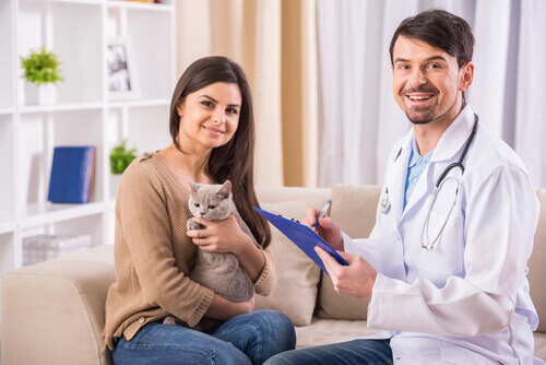 Gatto insieme al padrone e al veterinario.