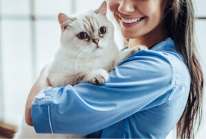Acromegalia nei gatti: sintomi e trattamenti