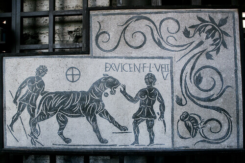 Animali nell'antica Roma: guerre e sacrifici