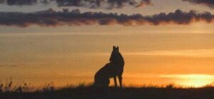 Scopriamo le origini del mito del nahual