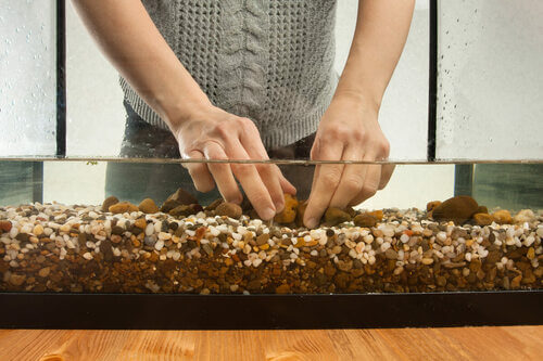 Pietre per l'acquario.