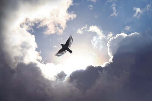 Uccello che vola tra le nuvole.