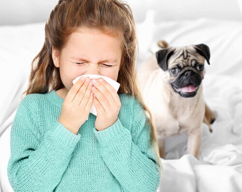 Bambina che si soffia il naso perché allergica ai cani.