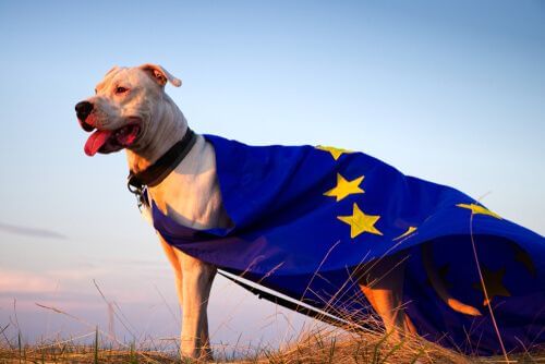 Il benessere animale nell'Unione Europea