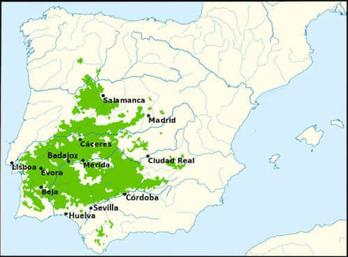 Mappa dei territori della dehesa in Spagna.