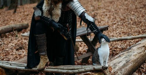 Processi contro animali come il gatto nel medioevo.