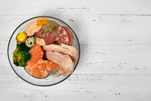 Salmone nella dieta del cane.