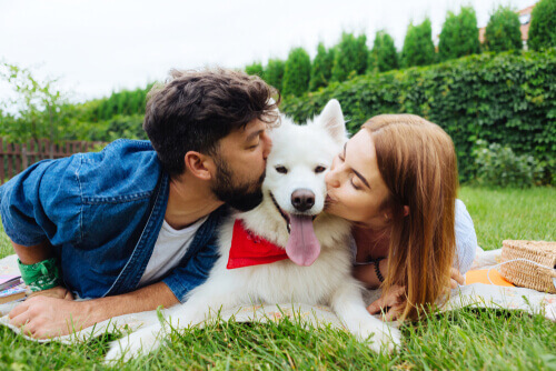 Cane insieme alla sua famiglia.
