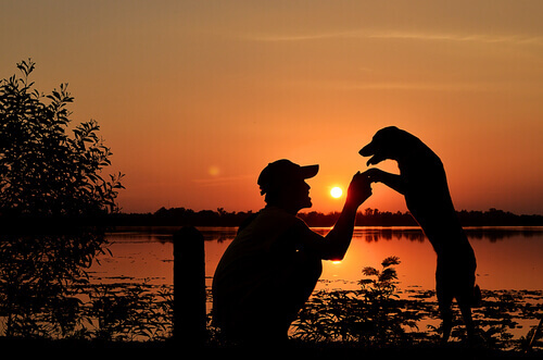 Cane con il padrone al tramonto.
