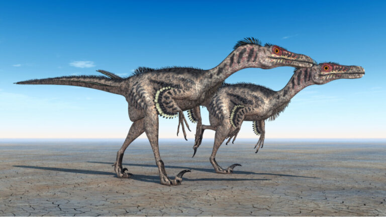Velociraptor: caratteristiche e curiosità